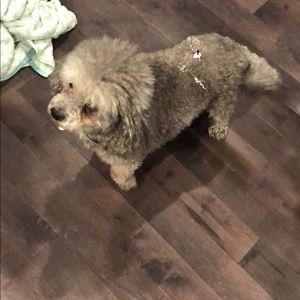 Meet your Posher, Jin